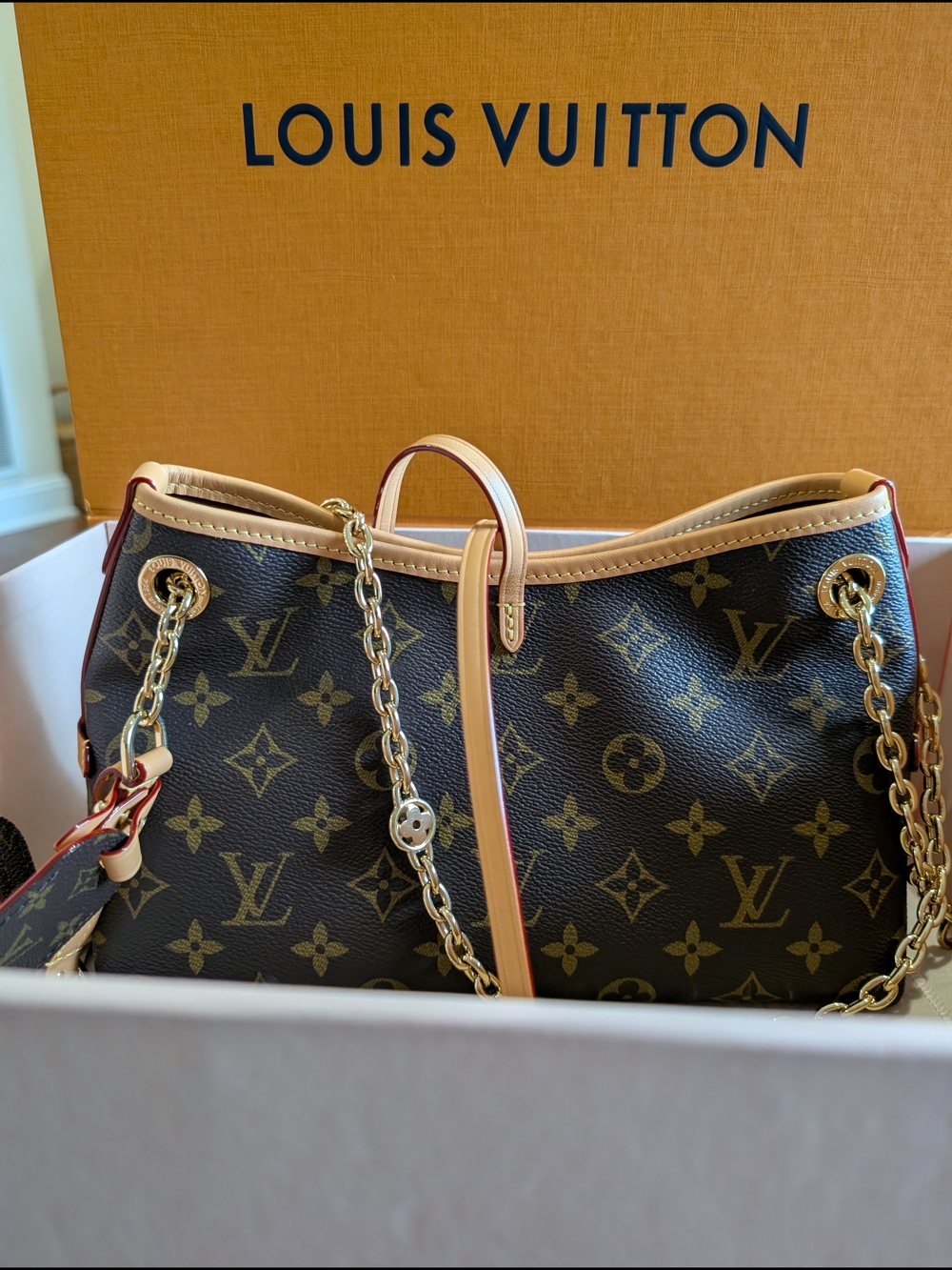 Louis Vuitton CarryAll BB - Picture 14 of 16